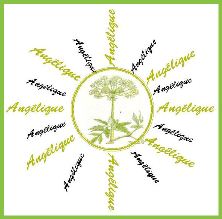 Friends of Angélique logo