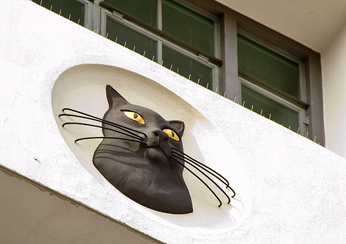 Cat Roundel Close-Up