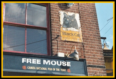 Fat Cat Pub in Norwich