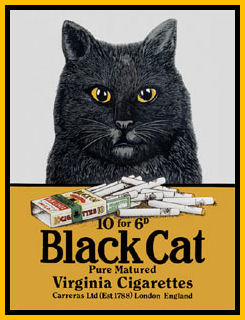 Black Cat Logo Iconic Black and Yellow