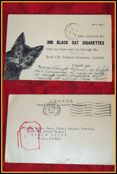 Black Cat Post Card Acknowledgement
