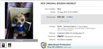 Bogdan £97.52