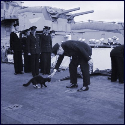 Churchill with Cat