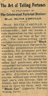 Black Cat Fortune Telling