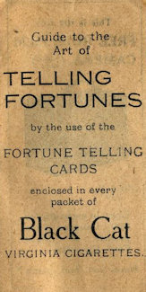 Black Cat Fortune Telling