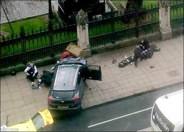Car driven into gated wall at Westminster