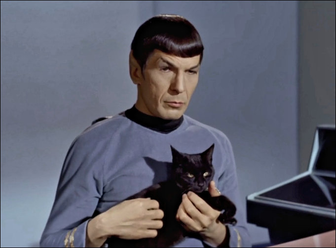 Leonard Nimoy as Mr Spock with Cat