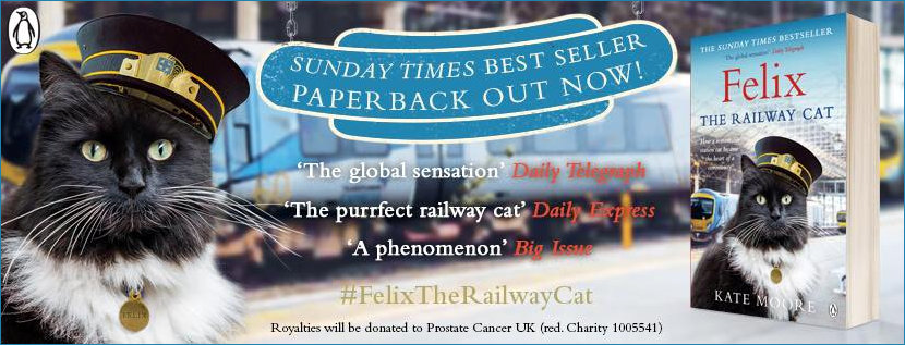 Felix the cat Bestselling sensation