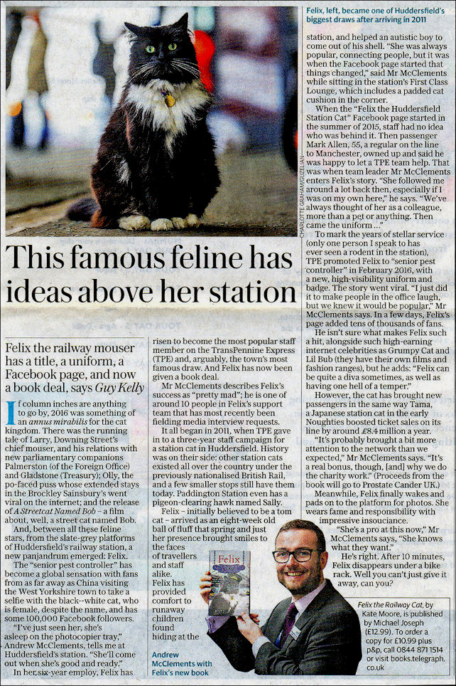 Telegraph article about Felix the cat