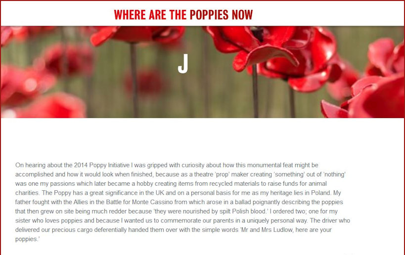Where are the Poppies now - my story part1