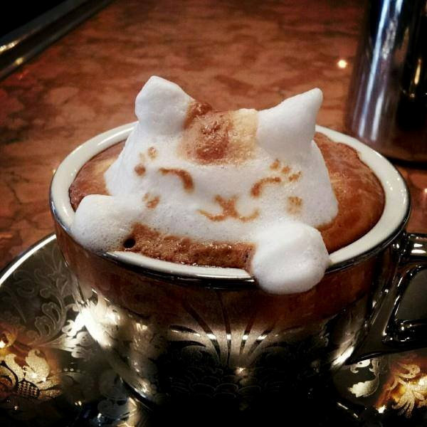 Cat Frothy Coffee in gold cup