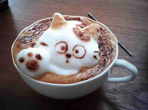 Frothy Coffee Cat wave