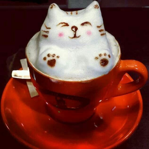 Cat Frothy Coffee in vibrant red cup