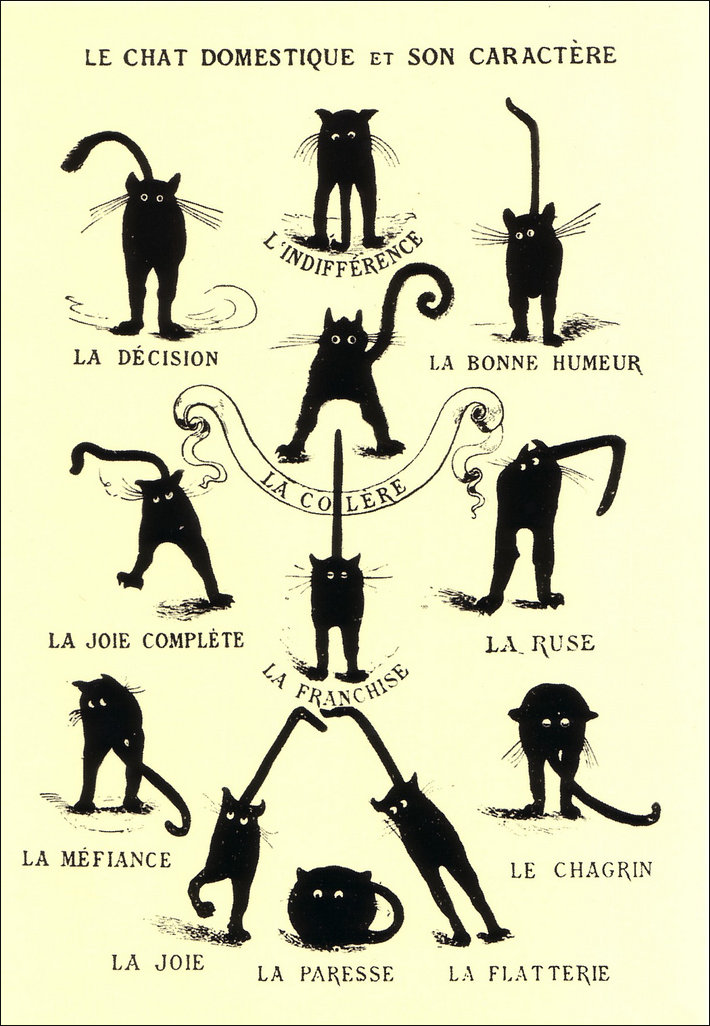 French humpour depicting the domestic cat