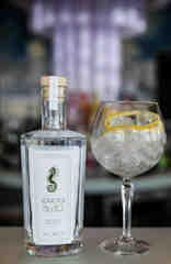 Seahorse Gin and Glass