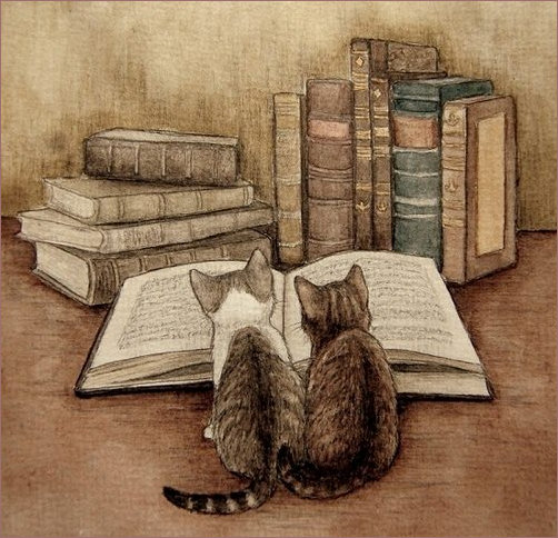Cats and Books