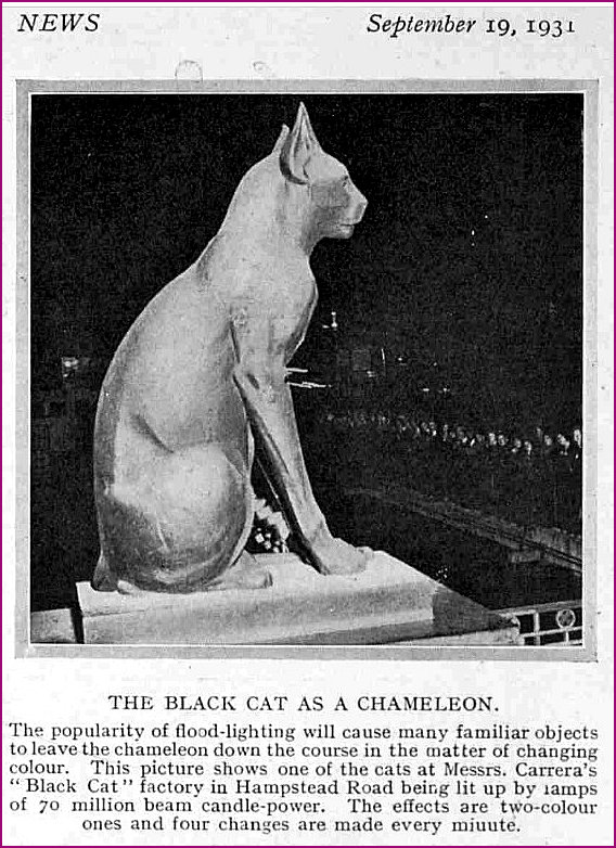 Black Cat Early History