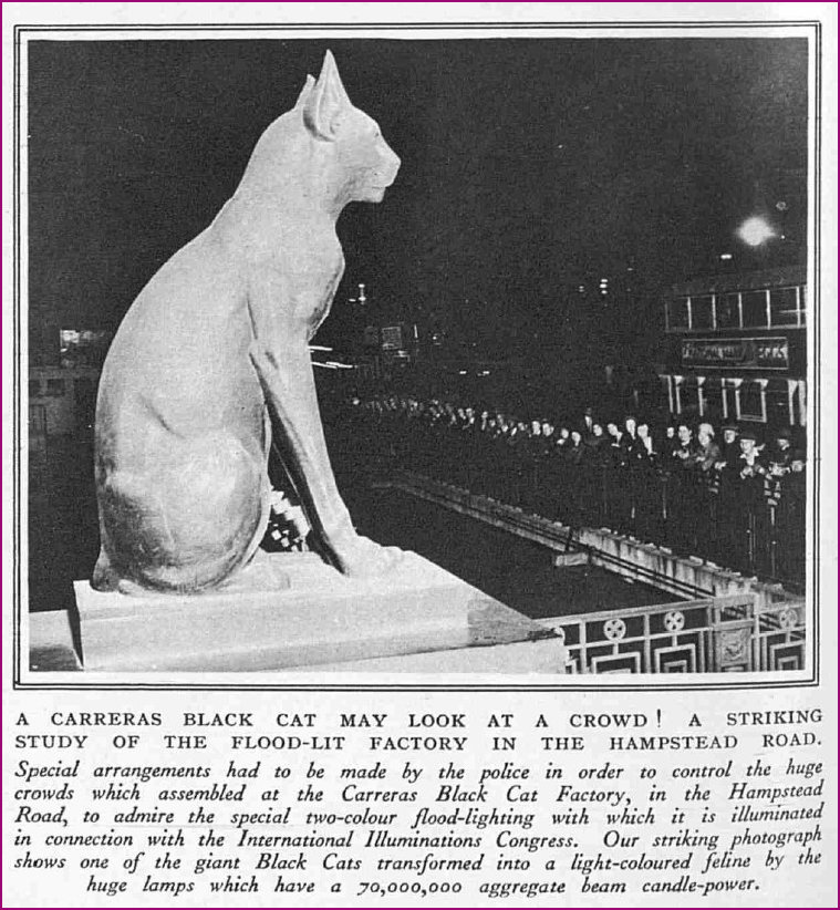 A Carreras Black Cat may look at a Crowd