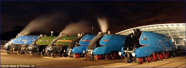 Six Mallards in a row