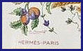 Detail of Hermes Scarf