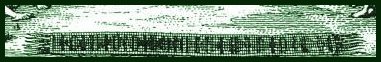 Detail of the Wampum