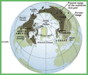 Wolverine World territory map