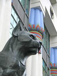 Close Up of the Cat Head