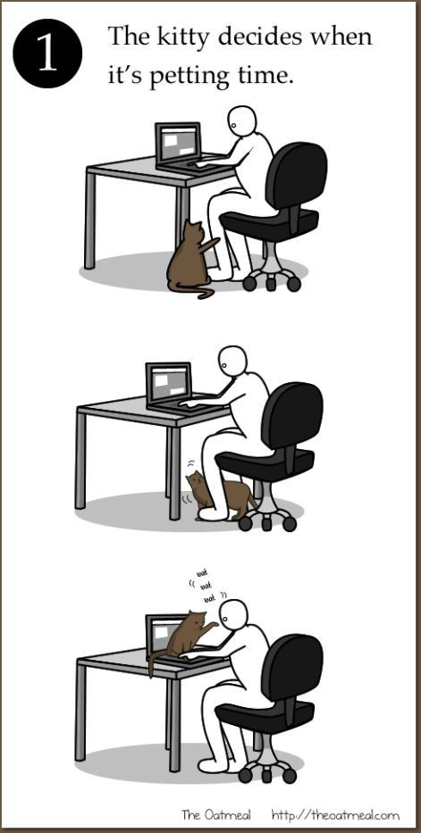 Kitty decides