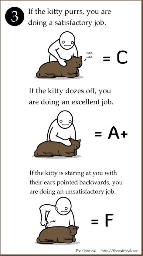 Kitty Marking System