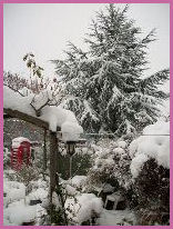 Kiosk in the Snow 2010