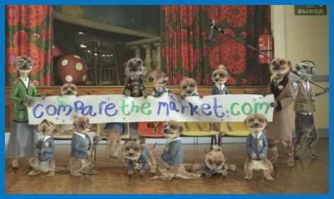 Meerpups with Banner