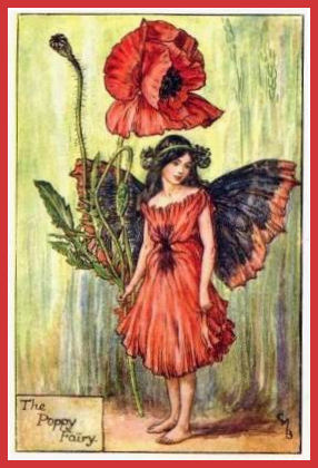 Poppy Fairy