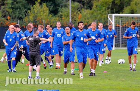 Players in Action