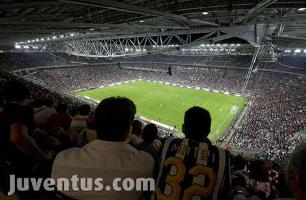 Shot of Stadium and Fans