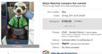 Maiya £100.00