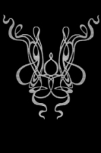 Spaghetti Design