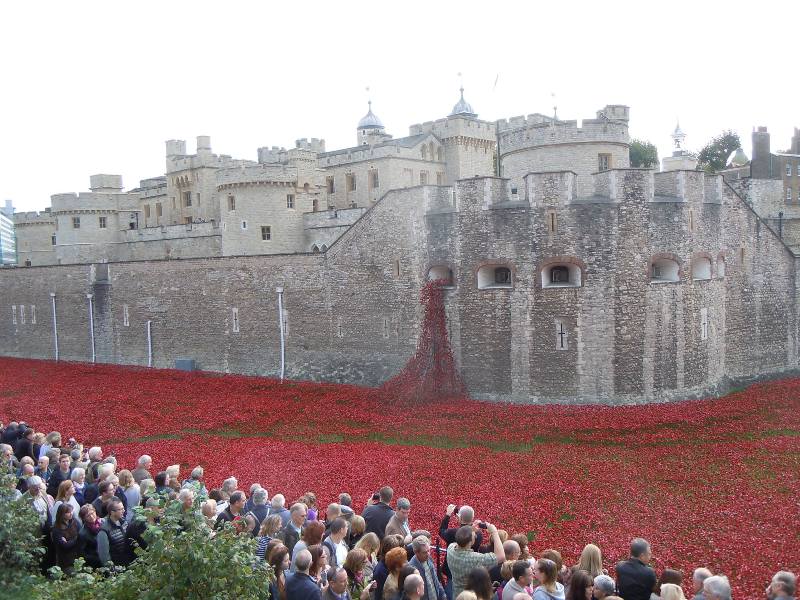 Carol - cascading poppies alternative view