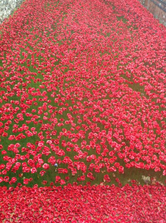 Fran - Sea of Poppies