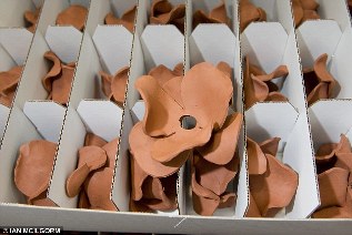 Poppy Making Procedure -  close up of fired poppy