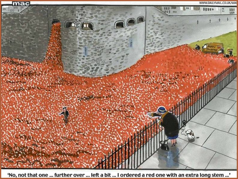 Mac Cartoon of the Poppies