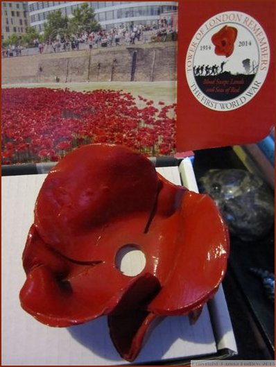 Tower Ceramic Poppy head close up