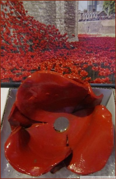 Ceramic Poppy head close up