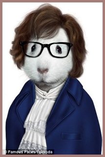 Austin Powers Cat