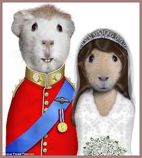 Catherine and Wills as Cats