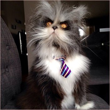 Atchoum in tie