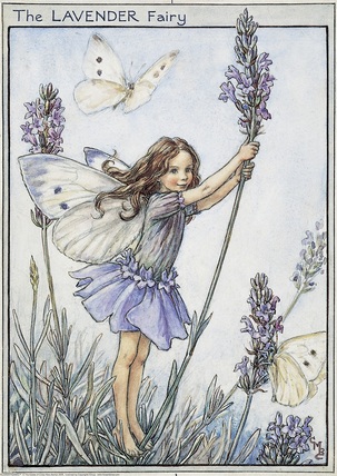 Lavender Fairy