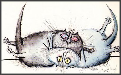 RS Cats