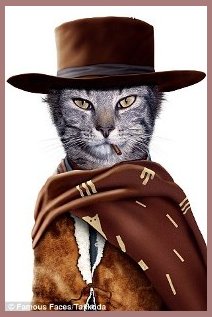 Cat Clint