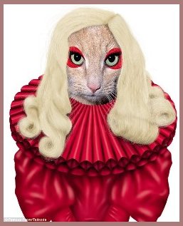 Lady Gaga