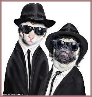 Chews Brothers